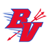 BVHS